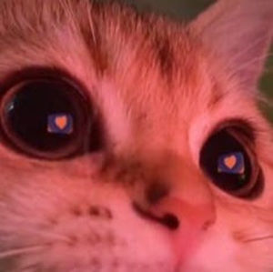 Meet your Posher, Angelita